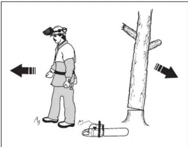 JONSERED CS16i - Abattage d'un arbre - 5