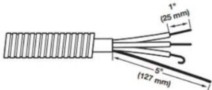WHIRLPOOL YWED5010LW - Préparer le cable à 4 fils pour un raccordement direct - 1