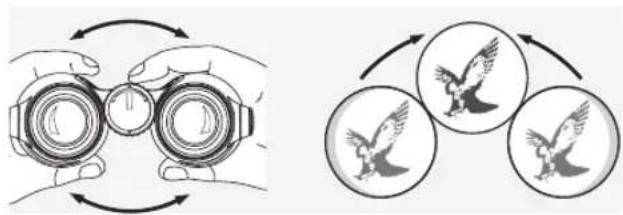 SWAROVSKI OPTIK Swarovision EL - ADJUSTING THE INTERPUPILLARY DISTANCE - 1
