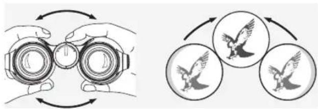 SWAROVSKI OPTIK Swarovision EL - AJUSTE DE LA DISTANCIA INTERPUPILAR - 1