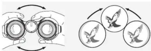 SWAROVSKI OPTIK Swarovision EL - РЕГУЛИРОВКА МЕЖЗРАЧКОВОГО РАССТОЯНИЯ - 1