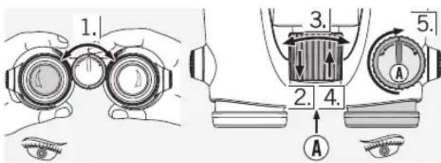 SWAROVSKI OPTIK Swarovision EL - Empleo con diferente agudeza visual en los dos ojos: - 1