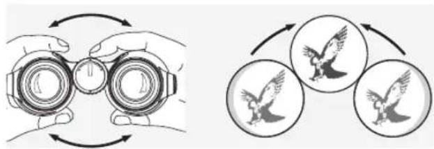 SWAROVSKI OPTIK Swarovision EL - INDSTILLING AF ∅JENAFSTANDEN - 1