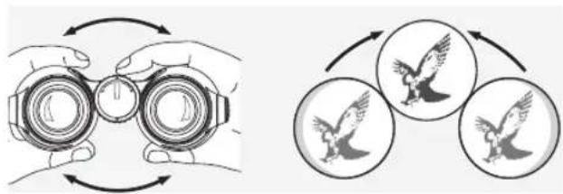 SWAROVSKI OPTIK Swarovision EL - INSTÄLLNING AV AVSTÄNDET MELLAN ÖGONEN - 1