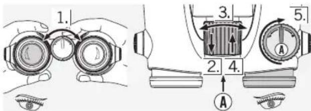 SWAROVSKI OPTIK Swarovision EL - Use with varying acuity of both eyes: - 1