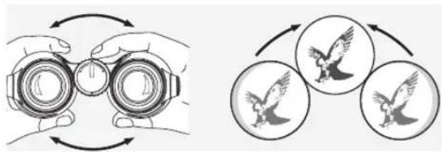 SWAROVSKI OPTIK Swarovision EL - EINSTELLUNG DES AUGENABSTANDES - 1