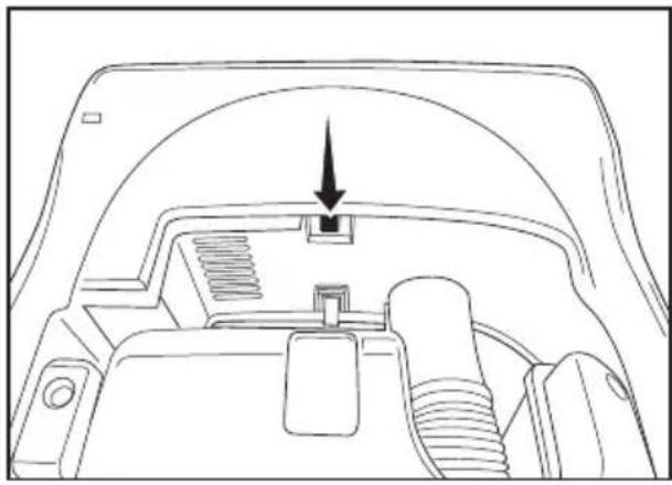 Riccar Premium Pet R25P.2 - Protección Térmica del Motor - 1