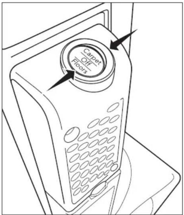 Riccar Premium Pet R25P.2 - Fonction d'extinction automatique de la Brosse - 2