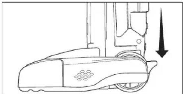 Riccar Premium Pet R25P.2 - Detencion Automática del Cepillo Giratorio - 1
