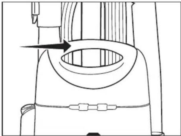 Riccar Premium Pet R25P.2 - Carrying the Vacuum - 1