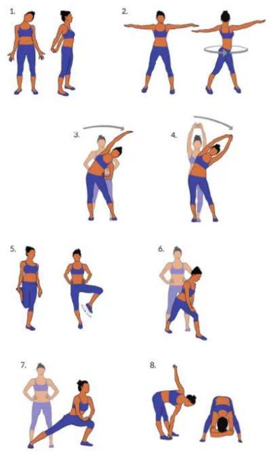 Klarfit Ultimate Gym 3000 - Échauffement avant l'entrajinement - 1