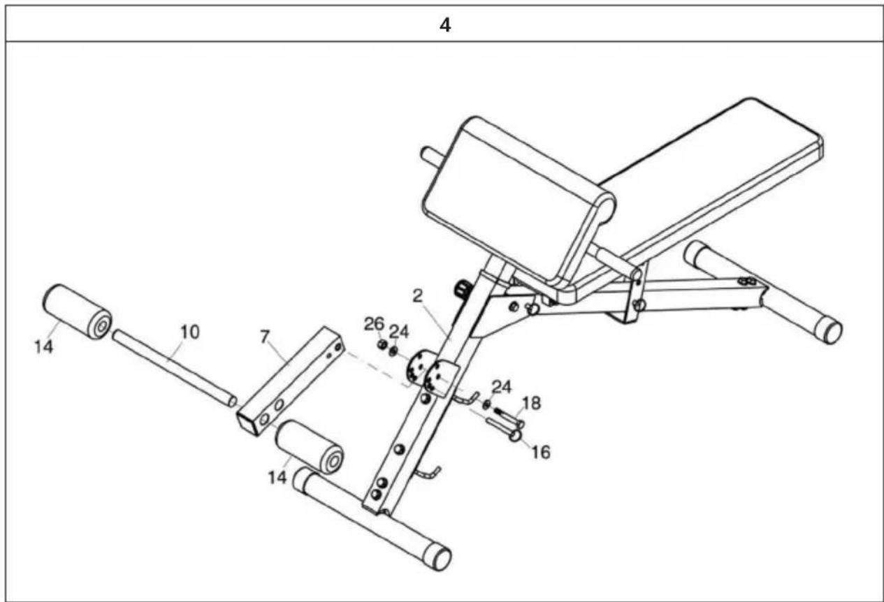 Capital Sports Varient - ASSEMBLAGE - 4