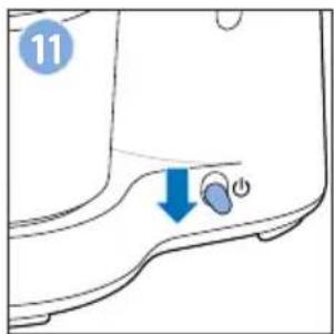 11 ↓ 心