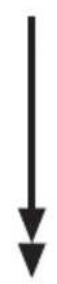 Airforce Centrale on board B4O 83 - GB:Types of installation and related kits: - 36