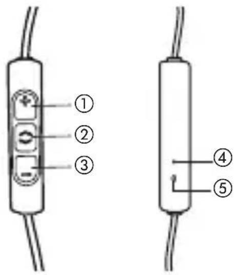 BEYERDYNAMIC Xelento Wireless - RIOKOON - 1