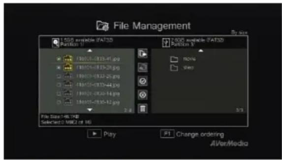 AVERMEDIA Live Gamer DUO GC570D - Administración de archivos (File Management) - 1