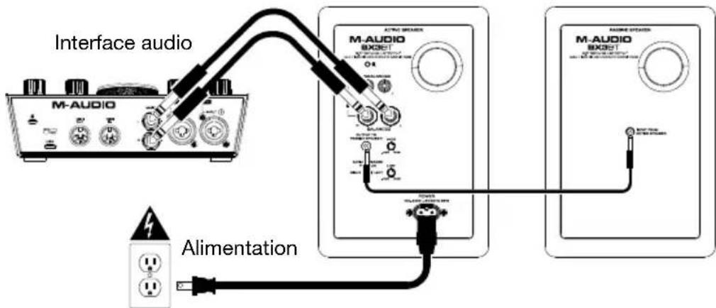 M-AUDIO BX3 BT - Scheme de connexion - 1