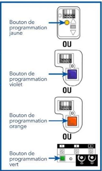 CHAMBERLAIN MYQG0401 - Localisez le programme ou le bouton d'apprentissage d'un ouvre-porte de garage - 3