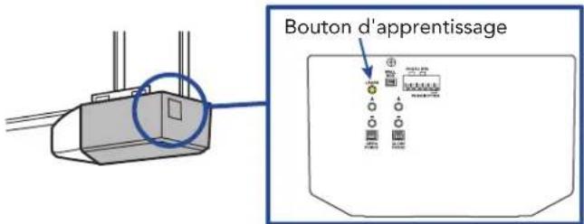 CHAMBERLAIN MYQG0401 - Localisez le programme ou le bouton d'apprentissage d'un ouvre-porte de garage - 3