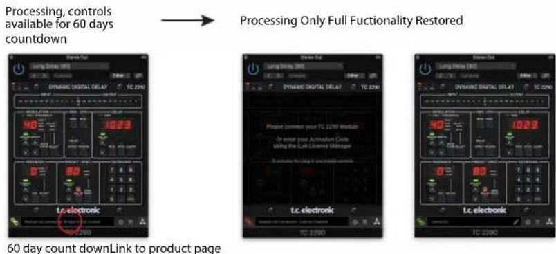 TC ELECTRONIC TC2290DT - Activation when you have purchased the NATIVE version - 2