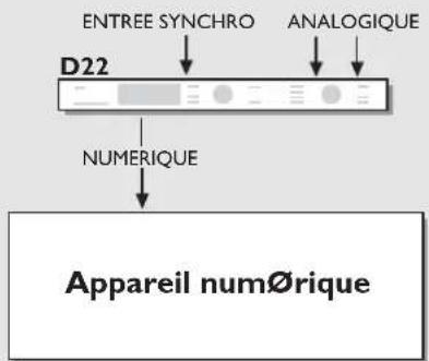 TC ELECTRONIC D22 - SETUPS - 1