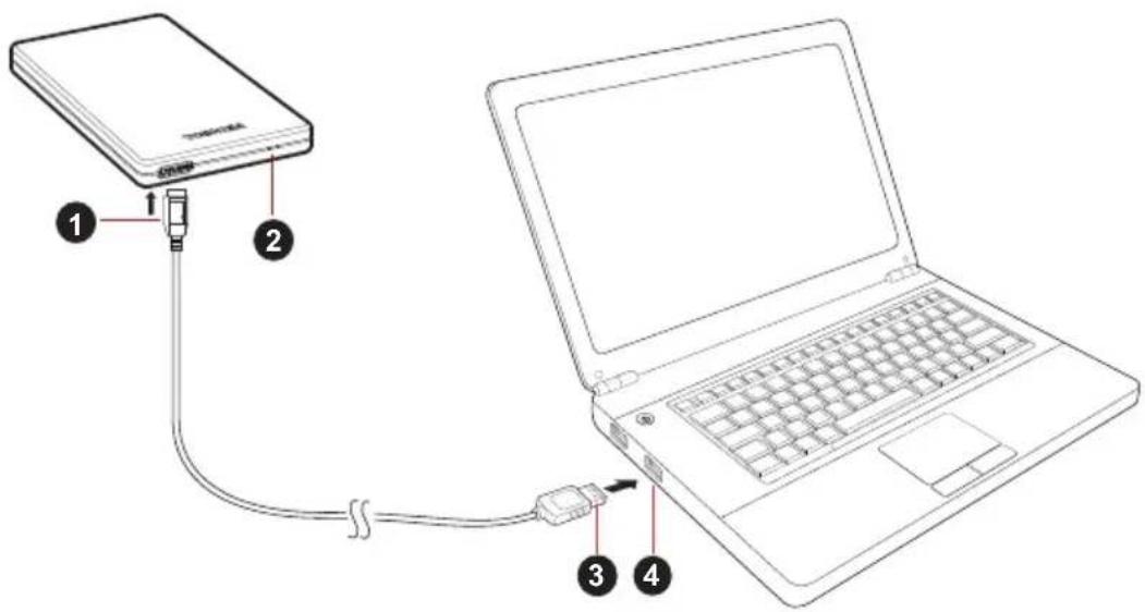 TOSHIBA STOR.E Alu TV Kit - Connexion du lecteur à l'ordinateur - 1