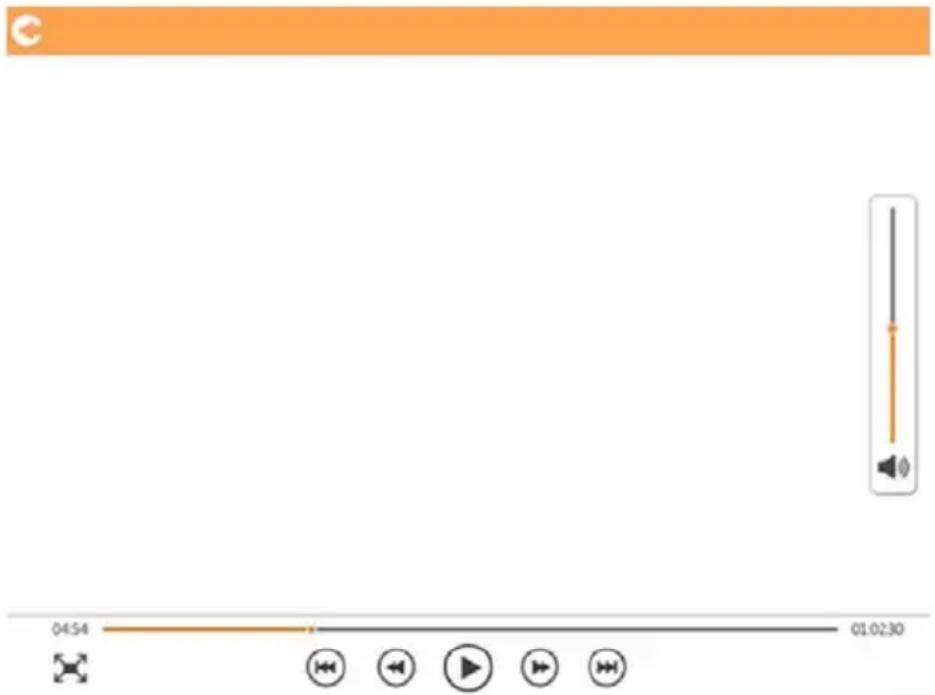 TOSHIBA Canvio AeroMobile - Interfaccia di riproduzione video (solo per dispositivi iPhone, iPad e Android™) - 1