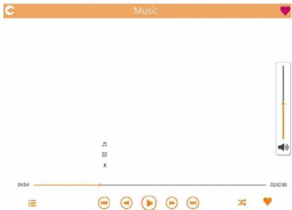 TOSHIBA Canvio AeroMobile - Bildschirm für die Musikwiedergabe (nur iPhone, iPad und Android™-Geräte) - 1