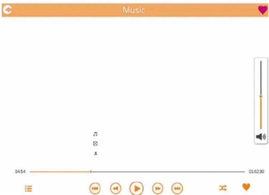 TOSHIBA Canvio AeroMobile - Interface van muziekspeler (alleen iPhone, iPad en Android™-apparaat) - 1