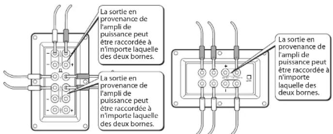 Linn Akurate - Câblage trifilaire ou câblage pour trois amplis - 1