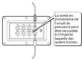 Linn Akurate - Câblage simple - 2