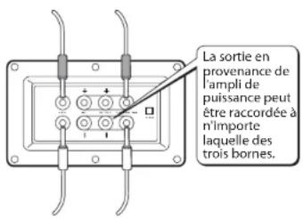 Linn Akurate - Câblage bifilaire ou câblage pour deux amplis - 2
