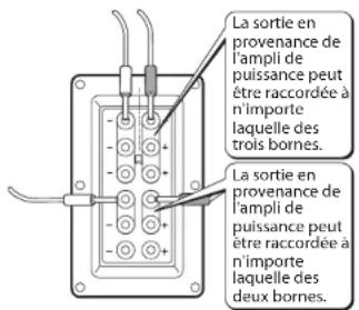 Linn Akurate - Câblage bifilaire ou câblage pour deux amplis - 1