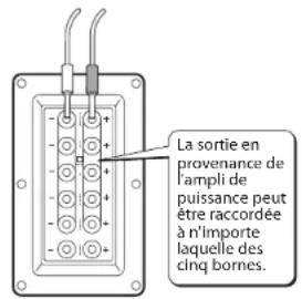 Linn Akurate - Câblage simple - 1