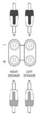 Linn Classik Music 08 - Raccordement aux enceintes - 1