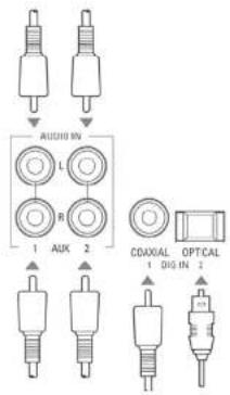 Linn Classik Music 08 - Raccordement aux enceintes - 2
