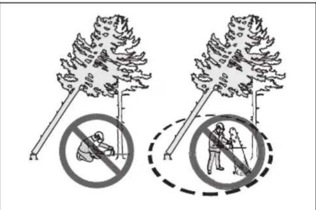 HUSQVARNA 450 Rancher - To free a trapped tree - 2