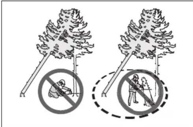 HUSQVARNA 450 Rancher - Para liberar un árbol atascado - 2