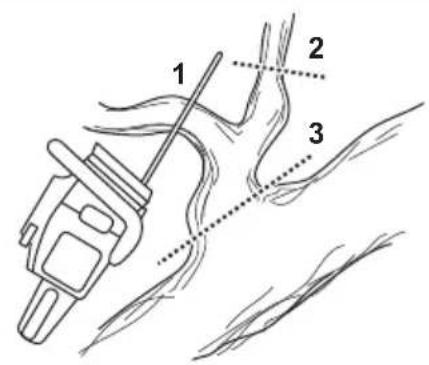HUSQVARNA 450 Rancher - Remarque: Couper les branches une piece à la fois au besoin. - 1