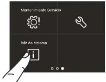 Mantenimiento Servicio Info de sistema