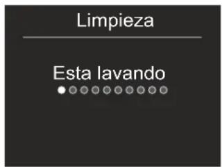 Limpieza Esta lavando