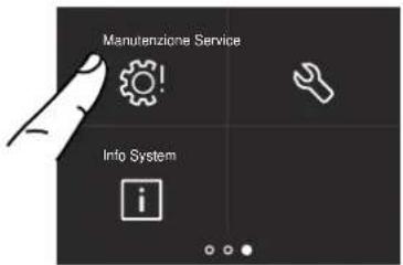 Manutenzione Service Info System