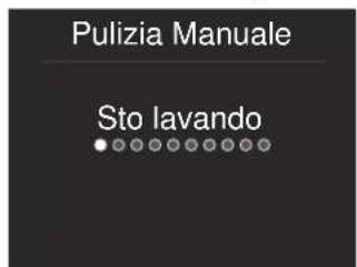 Pulizia Manuale Sto lavando
