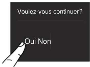 Voulez-vous continuer? Oui Non