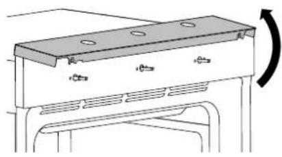 BERTAZZONI F605PROGKX - CONVERSIONE GAS - 2