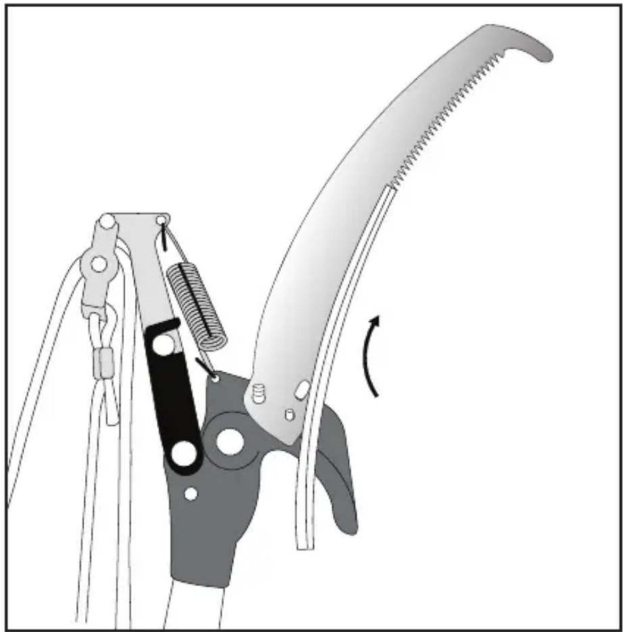 PARKSIDE HG00987 - COUPE-BRANCHES TÉLESCOPIQUE AVEC SCIE - 7