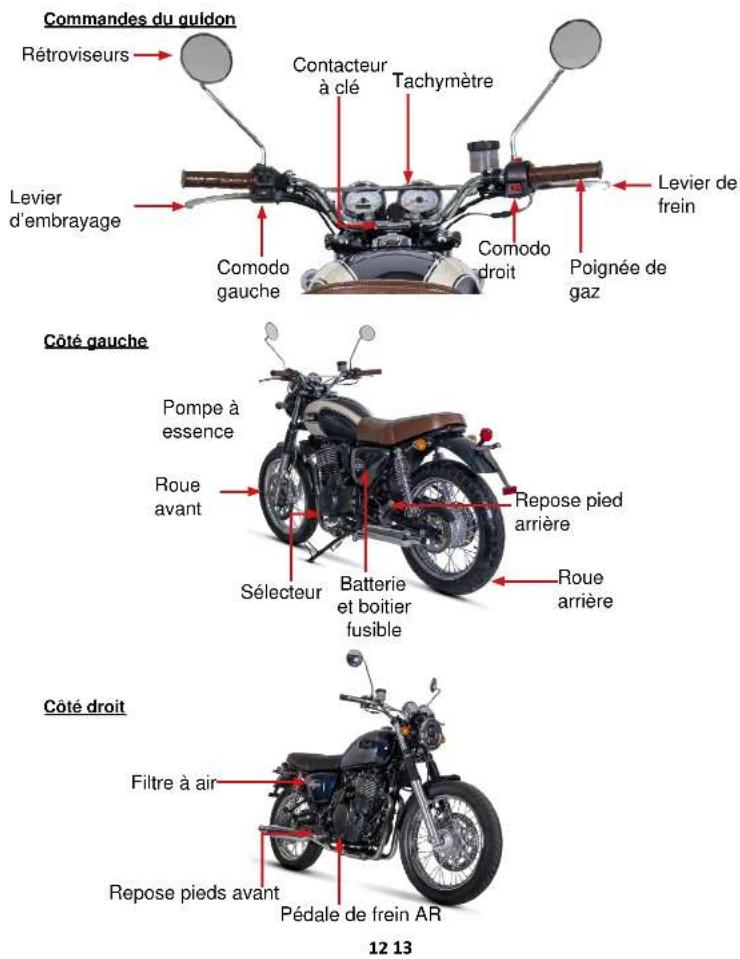 Mash Six Hundred 650cc (2021) - Attention - 1