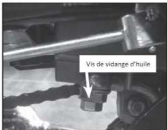 Mash Six Hundred 650cc (2021) - Vérification du niveau d'huile - 2