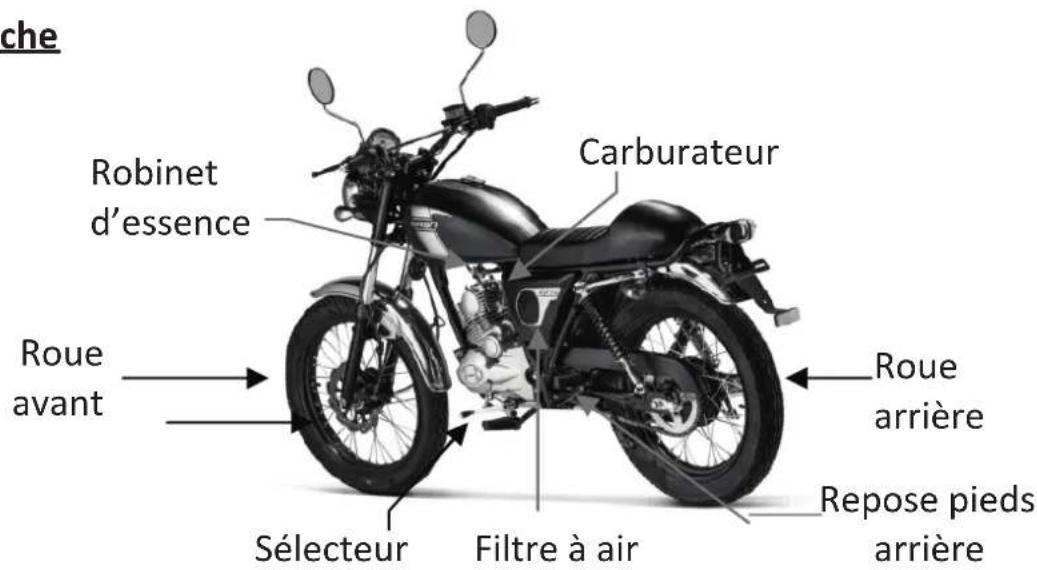 Mash Fifty 50cc (2018) - Chapitre 2 Identification des pièces - 2