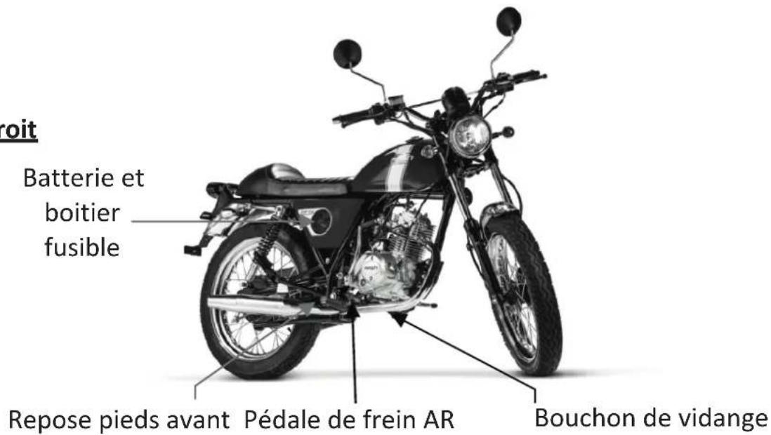 Mash Fifty 50cc (2018) - Chapitre 2 Identification des pièces - 3